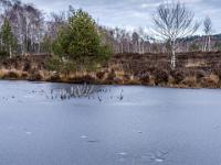 Impression am ersten Moorsee mit Eisdecke